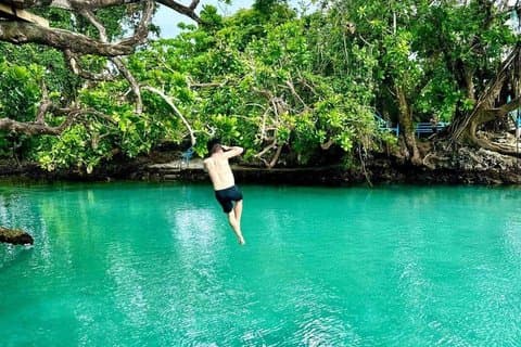 Efate Island Tour – dorp, schildpadden, Blue Lagoon & Eden River