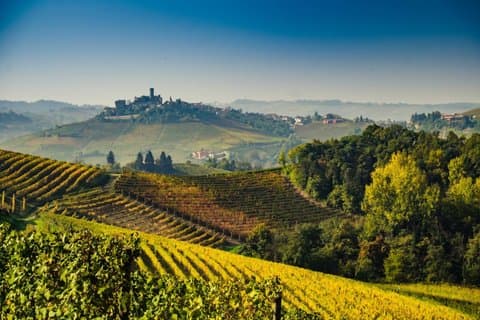 Eksklusiv 3-dagers Barolo-vinopplevelse fra Firenze