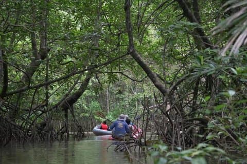 Khao Lak Little Amazon och Wat Khongkha Phimuk Halvdagstur