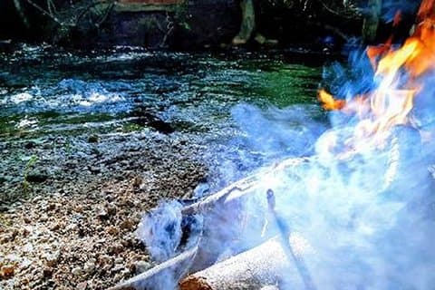 Jungle Swimming and Fire Gathering Activity at Harmonyville