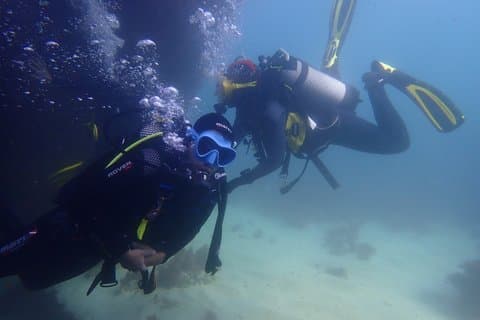 Try Dive Marine Reserve, Arrábida, Setúbal, Sesimbra, near Lisbon