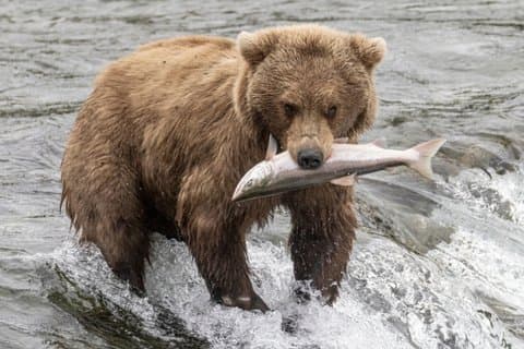 Seamax 4D Immersive Film Experience in Ketchikan