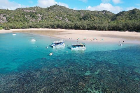 Magnetic Island Discovery Tour med snorkling og paddle boarding