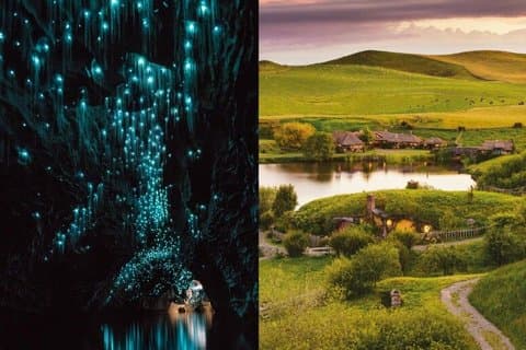 Visite d'une journée des grottes Hobbiton et Waitomo avec déjeuner au départ d'Auckland