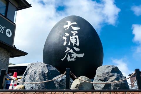 箱根・大涌谷の東京日帰りツアーから