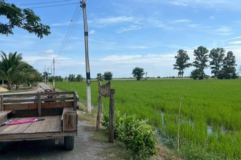 Experiencia privada de 2 días desde Bangkok Big City Farm