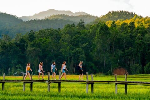 Pai Canyon og Bambusbro Privat dagstur fra Chiang Mai