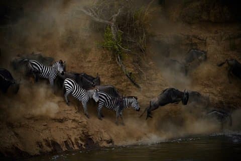 Spettacolare Safari sulla migrazione del Serengeti