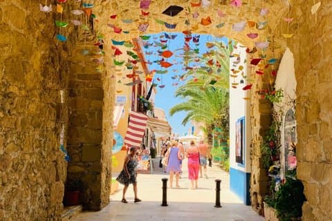Fra Albir og Benidorm Tabarca Island dagstur med bus