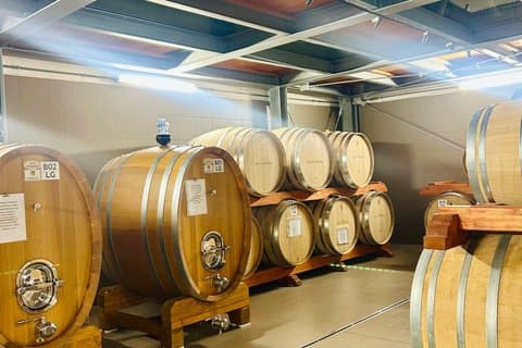 VIP-Tour zu den Ätna-Kratern, Weinprobe und Mittagessen in einem Weingut