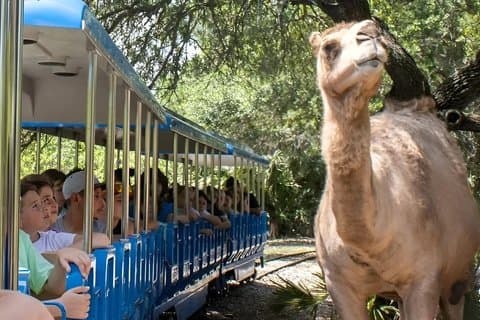 Brevard Zoo Algemene toegang