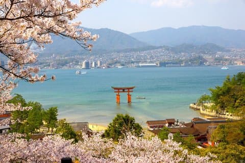 Miyajima and Mt Misen Hiking Tour from Hiroshima