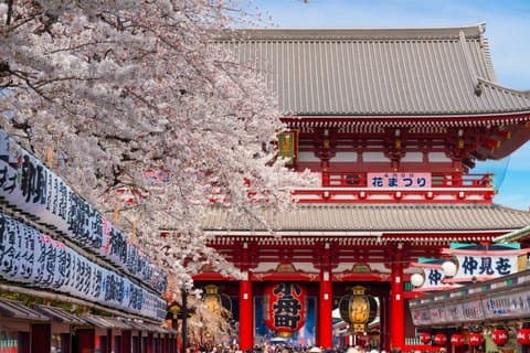 Beste Tokio met een Nationale Gelicentieerde Gids