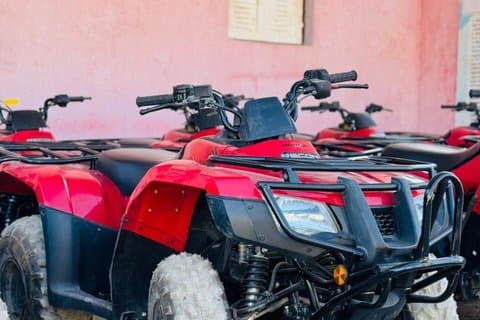 5 in 1 Adventure Experience in Sharm