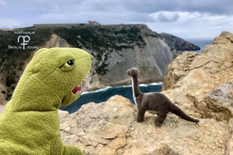 Private Walk to Dinosaur Footprints Near Lisbon