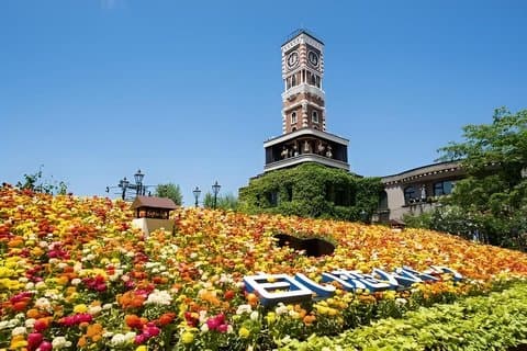 Hokkaido Shrine & Shiroi Koibito Park Sweets Walking Tour