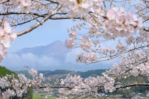 Kirishima Highlights from Kagoshima Port by Private Car