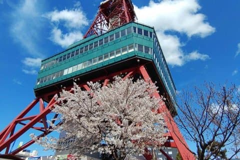 Ganztägige Kulturtour durch Sapporo mit staatlich zugelassenem Reiseführer