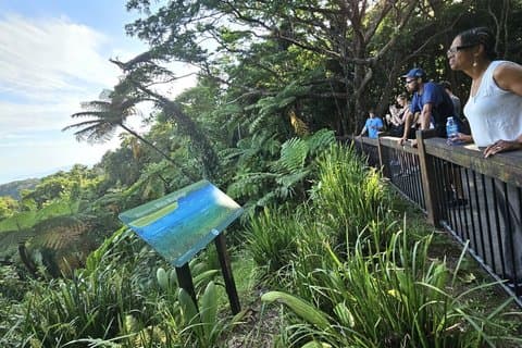 Excursion d'une journée au Cap Tribulation, dans les gorges de Mossman et dans la forêt tropicale de Daintree
