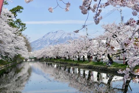 Tsugaru Fuji and Japan Sea Drive Tour by Car from Aomori Port