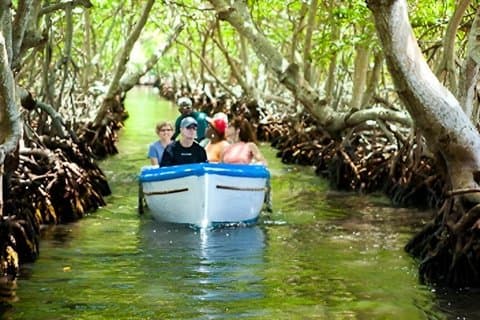 Roatan East Side Mangrove Tunnels Tour, Garifuna Village, Schnorcheln