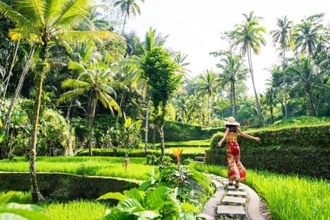 Privat rundtur i Ubud med lunch