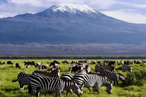 3 dias Amboseli Tsavo East Mombasa Midrange Safari