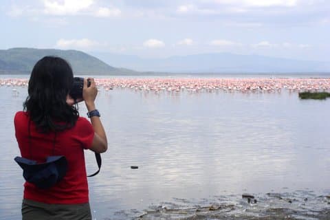 Full-Day Lake Nakuru National Park Guided Tour from Nairobi
