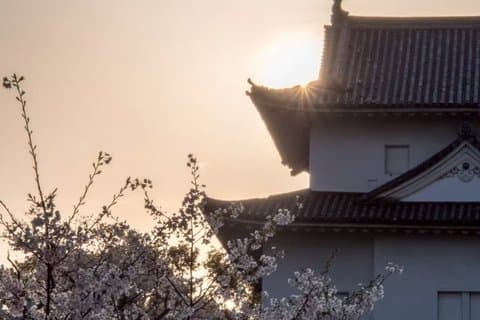 Osaka Castle: A Lord, a Concubine, and a Shogun's Lie
