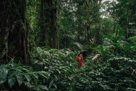 Munduk Twin Lake Jungle Trek with Sacred Forest Temples&Canoeing