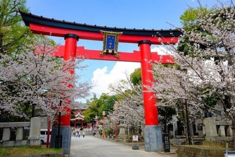Private Walking Tour in Fukagawa, Tokyo