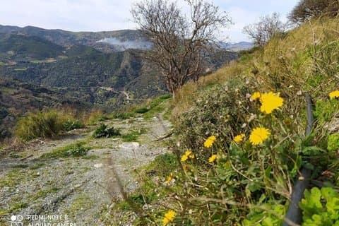Van Tour met Wandelen in Chania Bergen