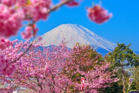 Cooking Hoto Udon Noodle Tour in Mt.Fuji Area from Tokyo
