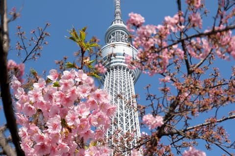 Best Tokyo 4 hours East part by public transportation