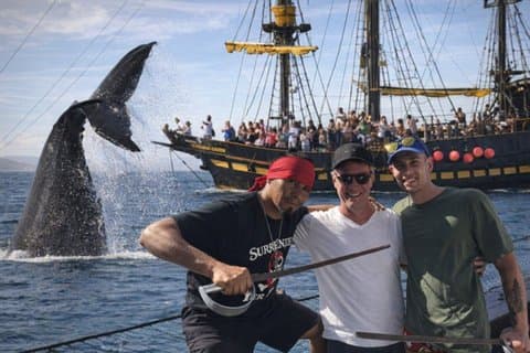 Wale und Märchen Frühstückstour Walbeobachtung in Cabo