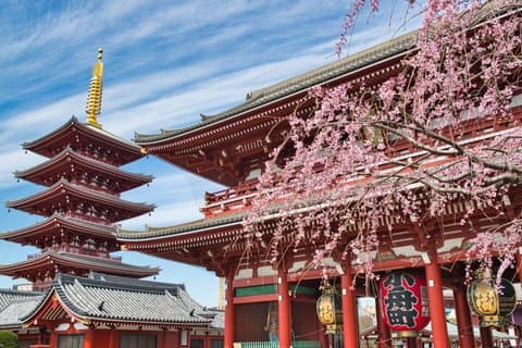 Haneda Layover Tokyo tour privato