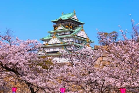 Day Trip Osaka from Tokyo with a Guide by Bullet Train