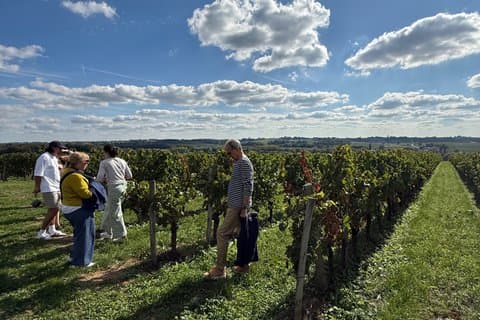 Halvdagstur til Saint-Émilion fra Bordeaux med vinsmaking