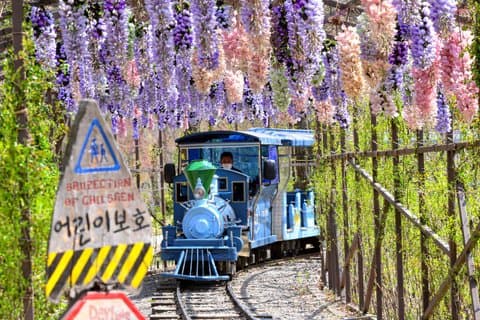 Nami Island-tur med Petite France & Italian Village og Gangchon Rail Bike