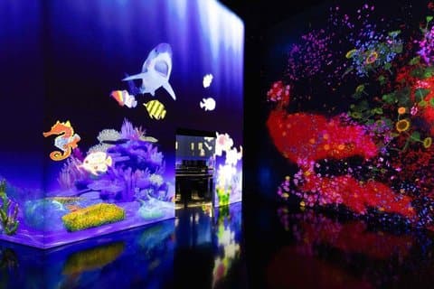 Singapore Oceanarium toegangsbewijs