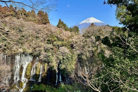 Fuji Highlights Group Car Tour by Shimizu Port with Local Guide
