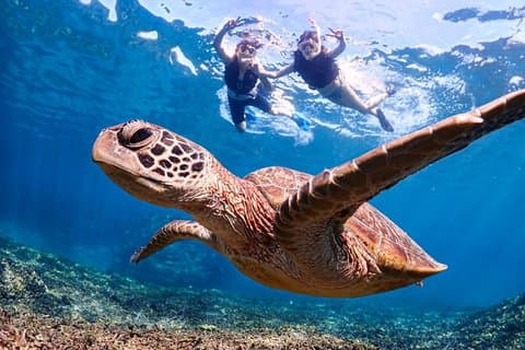 Okinawa Miyako 3set Beach SUP, Snorkeling,Pumpkin Cave,Canoeing