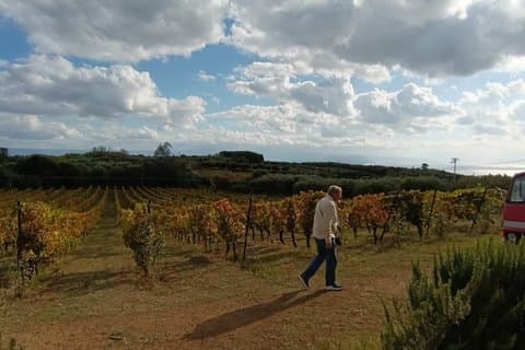 Slow Wine & Tartufo Gelato Tasting Experience