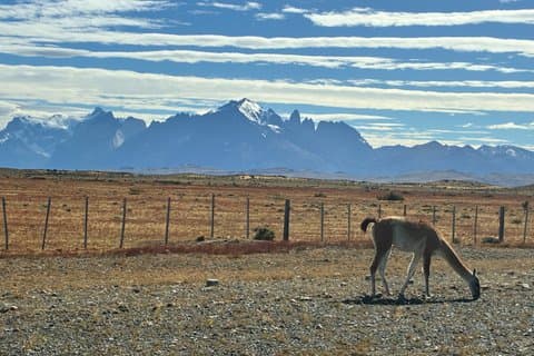 Tracking-Basisstationen in Puerto Natales