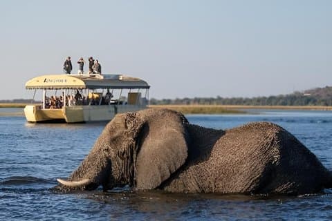 Crociera di 3 ore al tramonto sul fiume Chobe da Victoria Falls