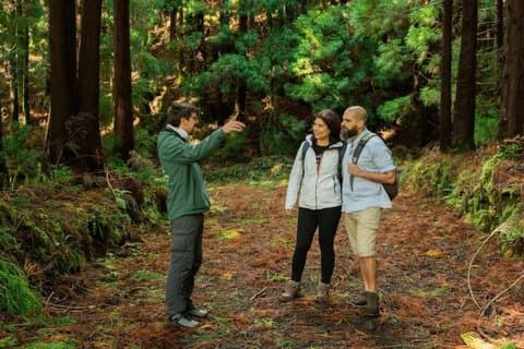 Terceira Island Private Full-Day Slow Tour with Local guide