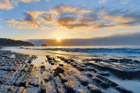 Tasman Peninsula Walking Tour