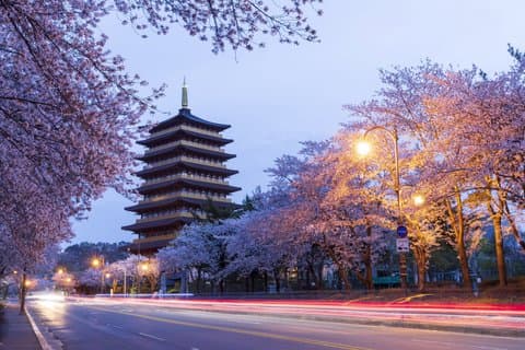 Gyeongju's bedste seværdigheder på privat tur med en licenseret guide