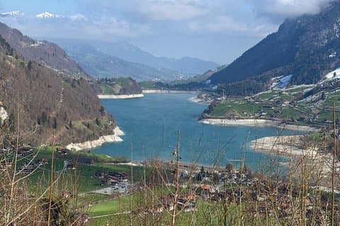 Excursão de um dia Zurique Bernese Oberland