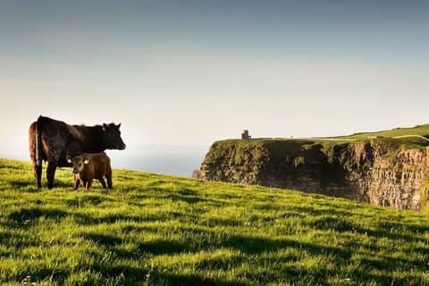 Cliffs of Moher Day Tour from Cork with Private Access Option
